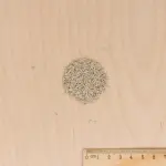 Potagères - Laitue Batavia Great Lakes 119 - MEDIA_3D